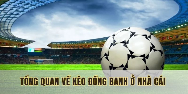 Tổng quan về kèo đồng banh ở nhà cái 69VN